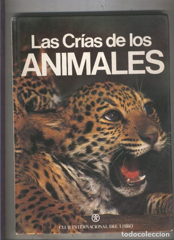 Libros: Las crias de los animales - Tessa Board - Foto 1