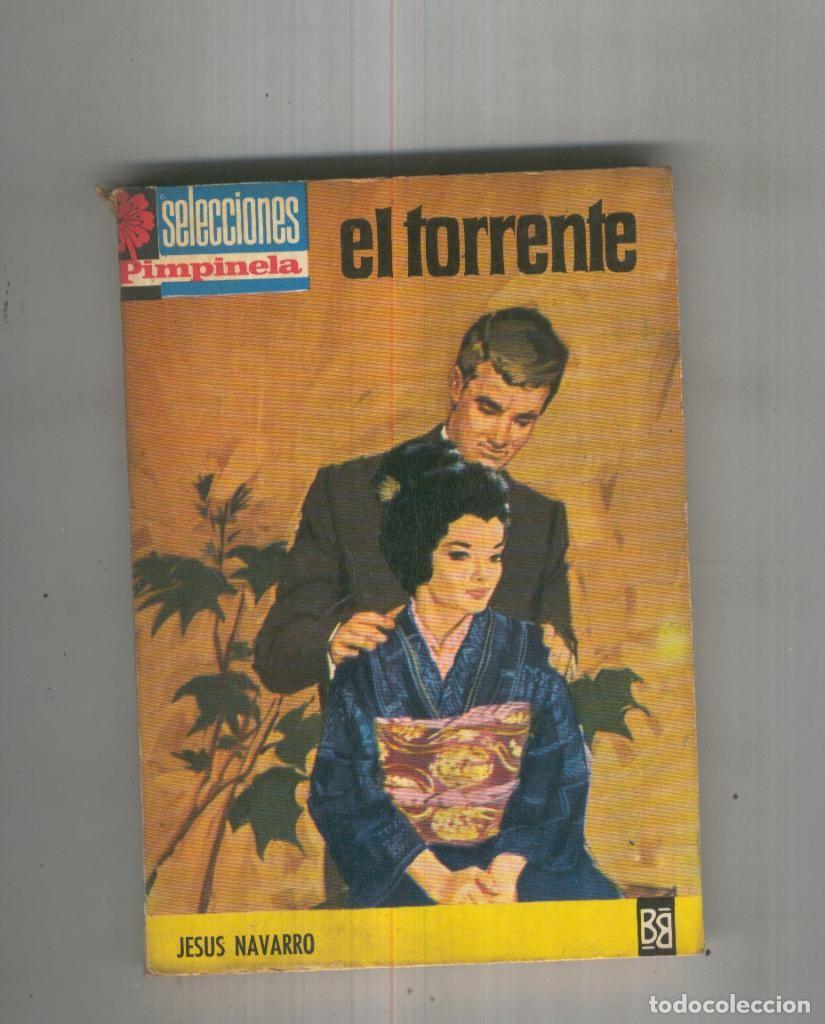 Libros: El torrente - Jesus Navarro - Foto 1