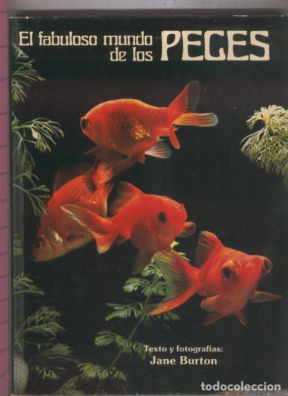 B&uuml;cher: El fabuloso mundo de los Peces - Jane Burton