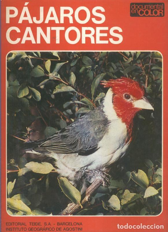 Libros: Documental en color: Pajaros cantores - Varios - Foto 1