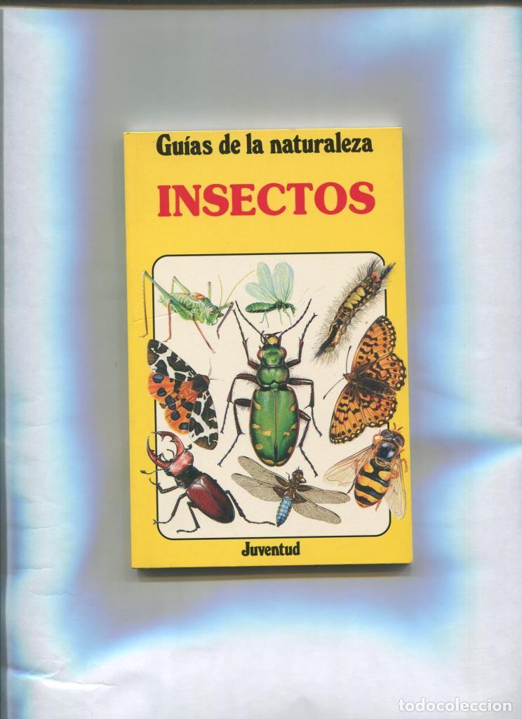 B&uuml;cher: Guias de la naturaleza: Insectos - Anthony Wootton
