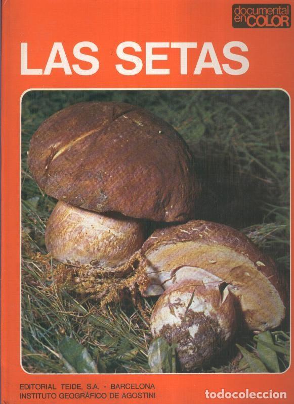 Libros: Documental en color: Las setas - Uberto Tosco y Annalaaura Faneli - Foto 1