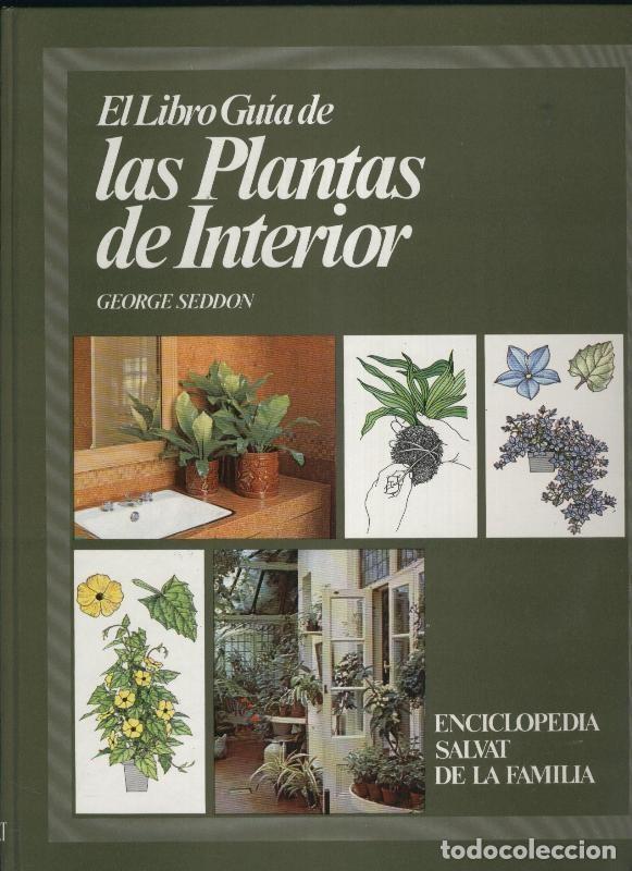 Libri di seconda mano: Enciclopedia de la familia numero 07: El Libro Guia de Las plantas de Interior - George Seddon