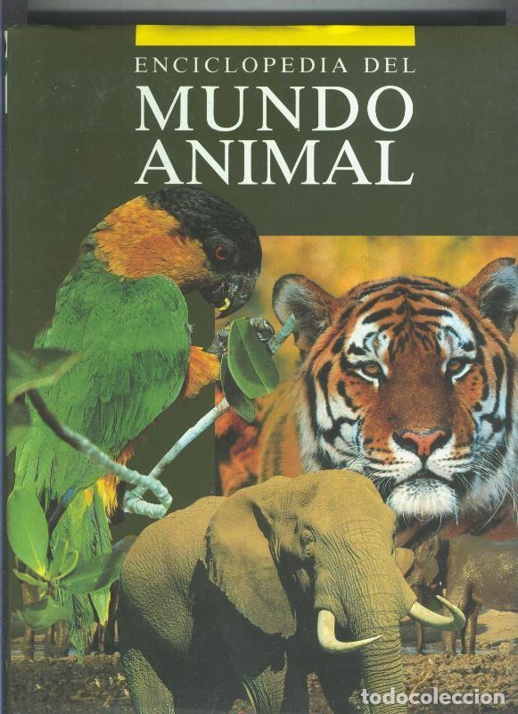 Libri di seconda mano: Enciclopedia del Mundo Animal volumen 01: Mamiferos: Carnivoros - Varios