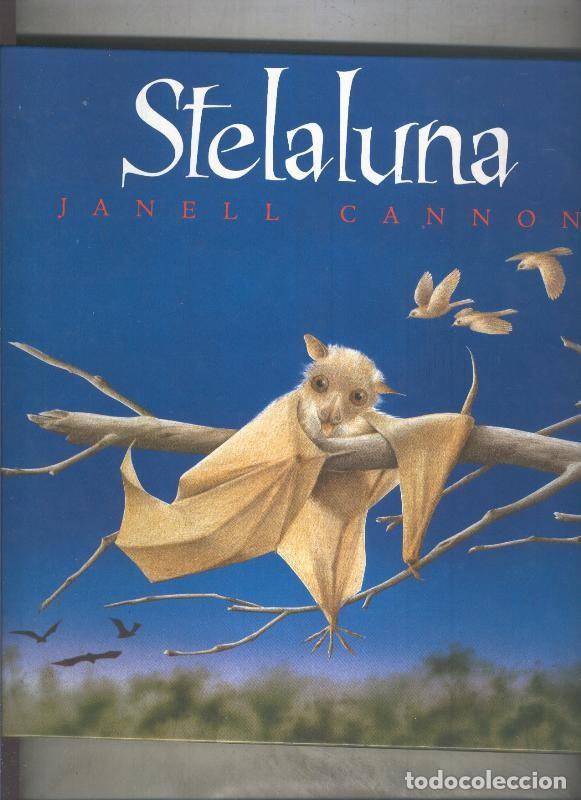 Libros: Stelaluna - Janell Cannon