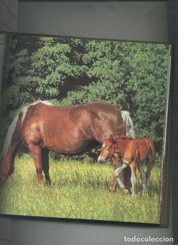 Livres: Fauna tomo artesanal con las imagenes cubierta fasciculos - Aldous Huxley