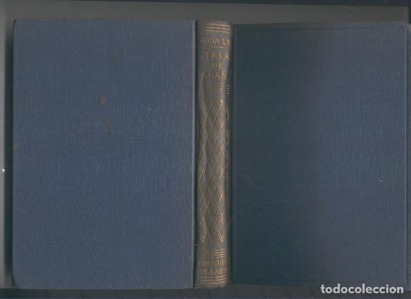 Libros: Tela de ara&ntilde;a - Edna Lee - Foto 1