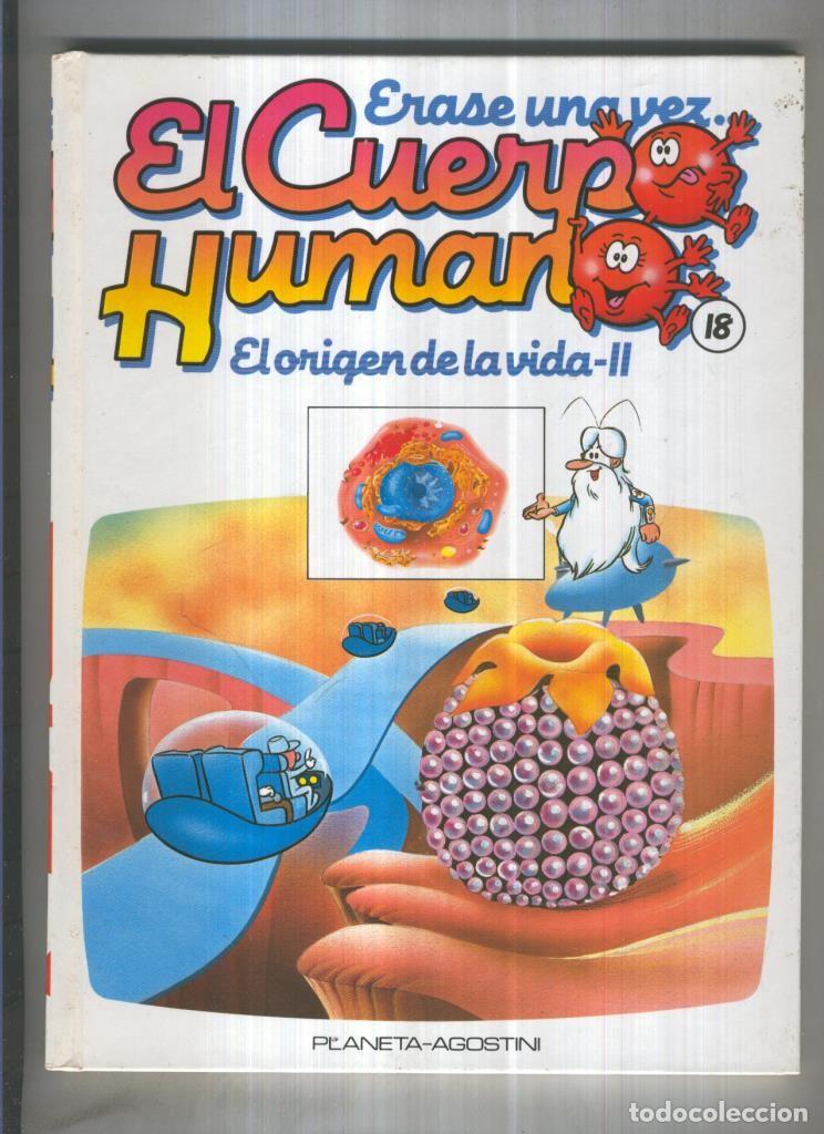 Livres: Erase una vez el cuerpo humano volumen 18: El origen de la vida, 2&ordf; parte - Varios