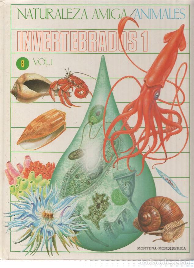 Libri di seconda mano: Naturaleza Amiga/Animales album 08 volumen I: Invertebrados 1 - Isabel Portela Pe&ntilde;as y Lourdes Cabel
