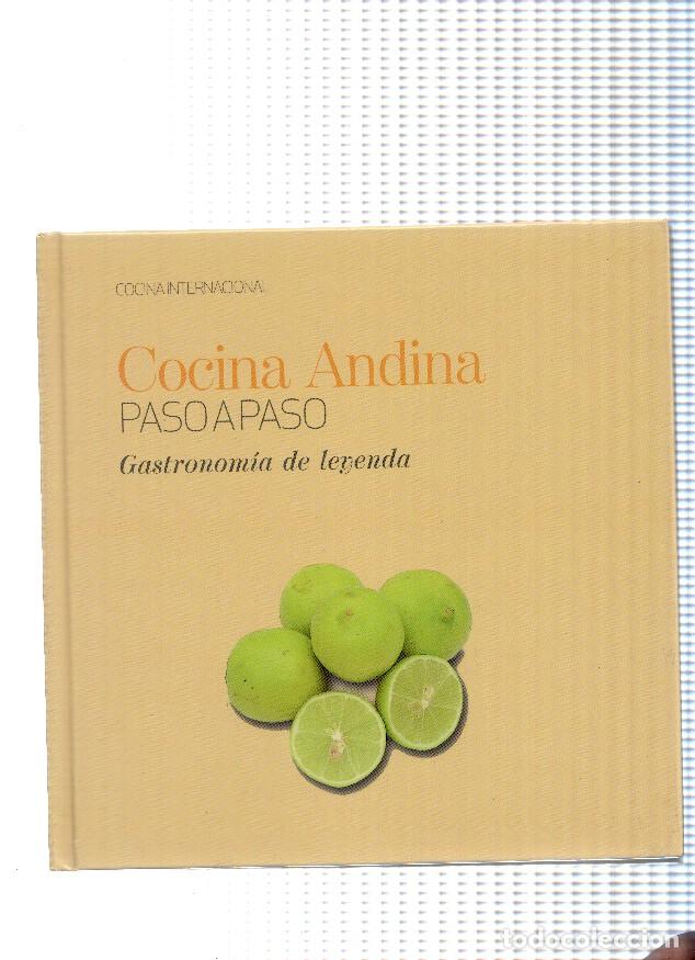 books: Cocina Internacional numero 22: Cocina Andina - varios