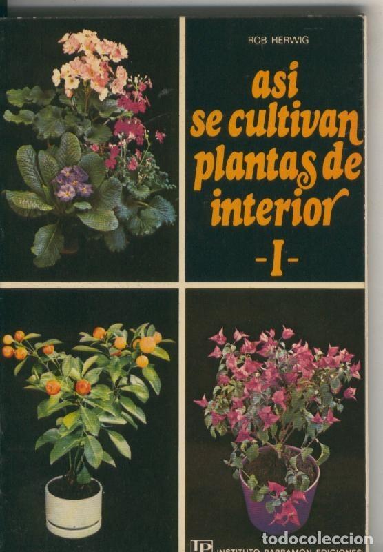 Libri di seconda mano: Asi se cultivan plantas de interior volumen primero - Rob Herwig