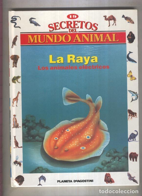 Libri di seconda mano: Secretos del mundo animal numero 19: La raya, los animales electricos - Varios