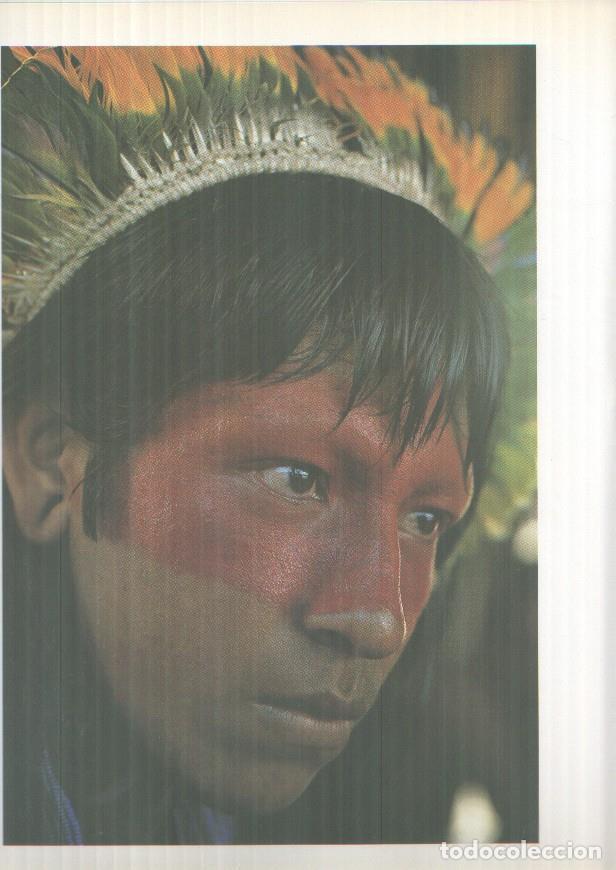 Libros: El viaje de Cousteau por el amazonas, fasciculo paginas 225 a 240 (fin de la obra) - Jacques Yves Co
