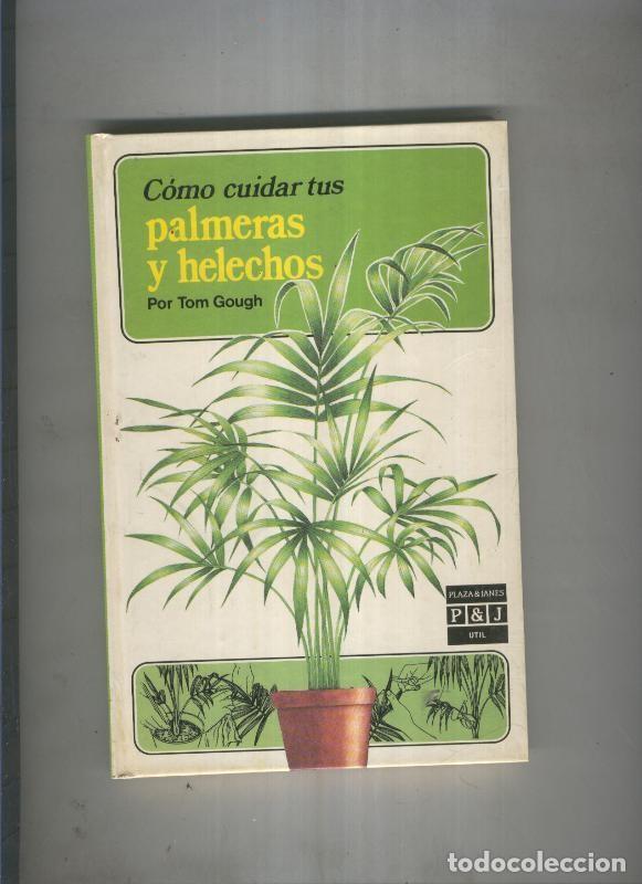 Libros: Como cuidar tus palmeras y helechos - Tom Gough - Foto 1