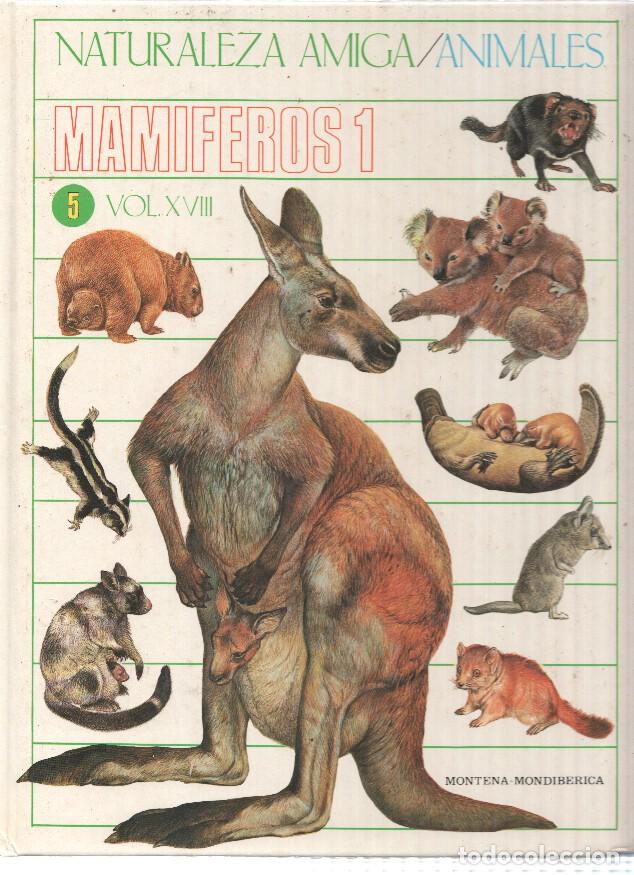 Libri di seconda mano: Naturaleza Amiga/Animales album 05 volumen XVIII: Mamiferos 1 - Isabel Portela Pe&ntilde;as y Lourdes Cabel