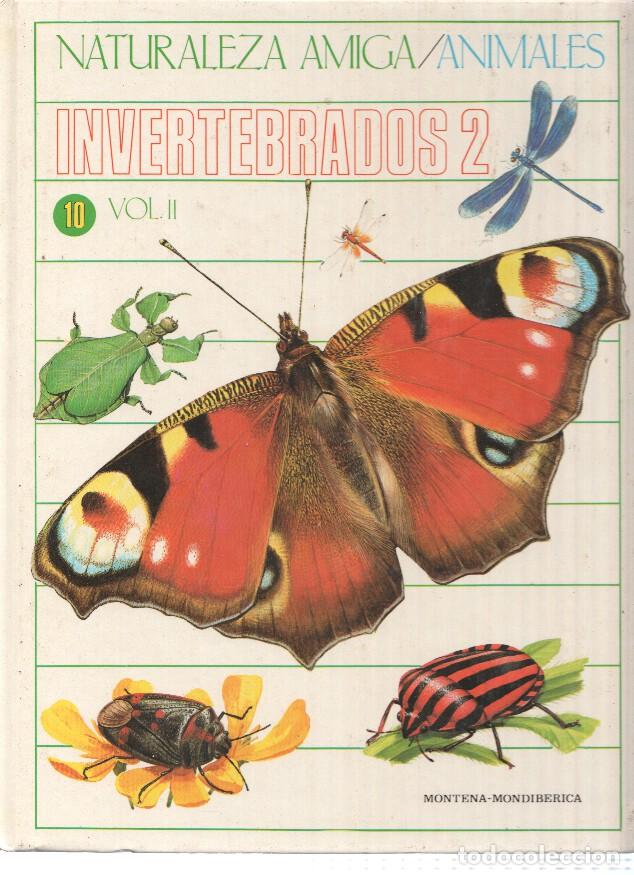 Libri di seconda mano: Naturaleza Amiga/Animales album 10 volumen II: Invertebrados 2 - Isabel Portela Pe&ntilde;as y Lourdes Cabe