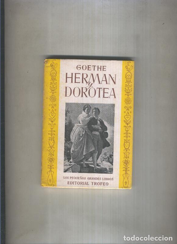 Libros: Los peque&ntilde;os grandes libros:; Herman y Dorotea - Goethe