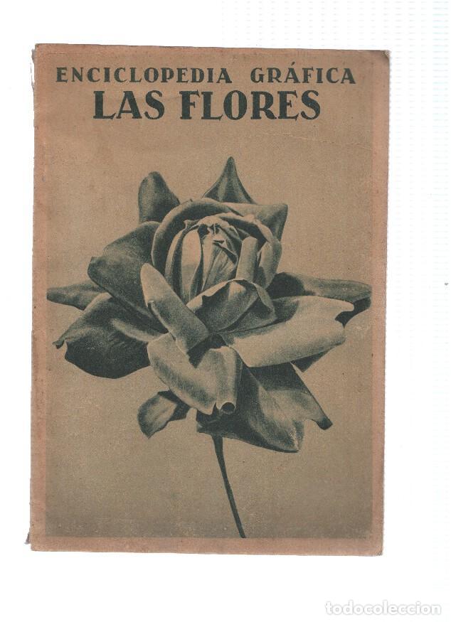 Libros: Enciclopedia grafica: Las flores - Nicasio OLivan - Foto 2