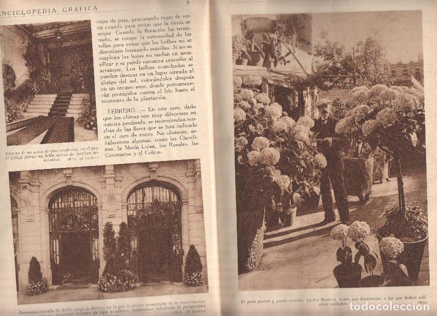 Libri di seconda mano: Enciclopedia grafica: Las flores - Nicasio OLivan