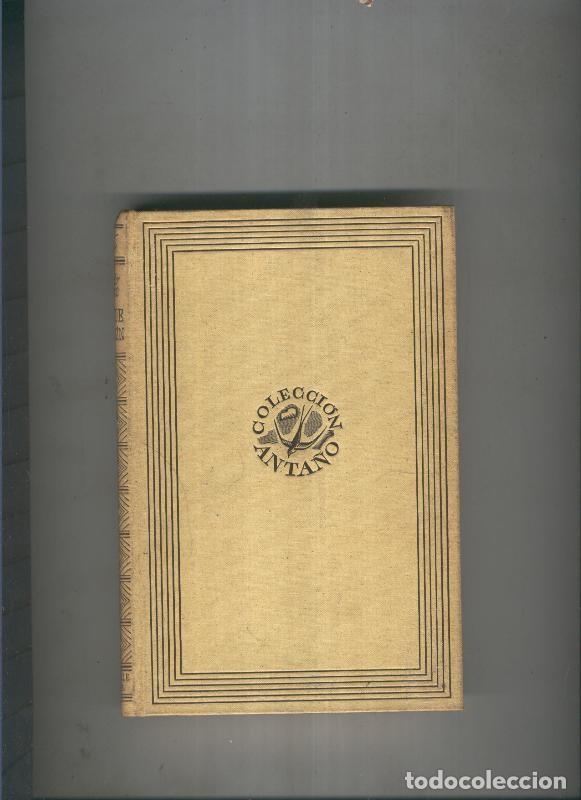 Libros: Amor de perdicion - Camilo Castello Branco - Foto 1