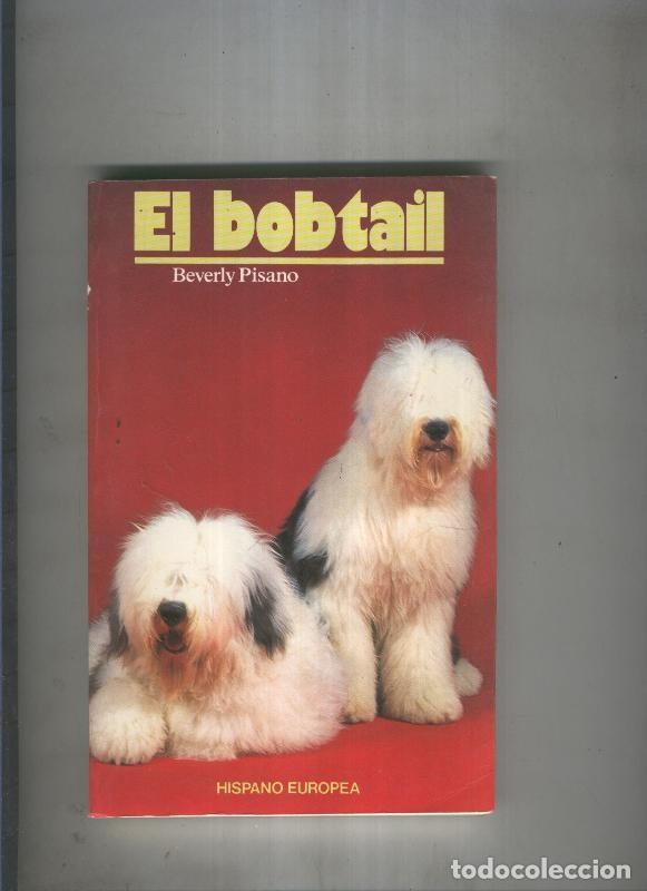 Libros: El bobtail - Beverly Pisano - Foto 1