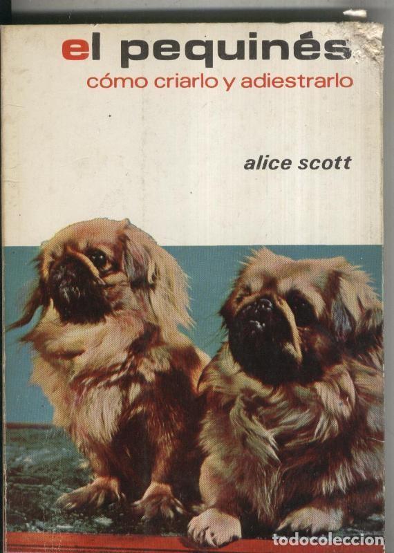 Libros: El pequines - Alice Scott - Foto 1