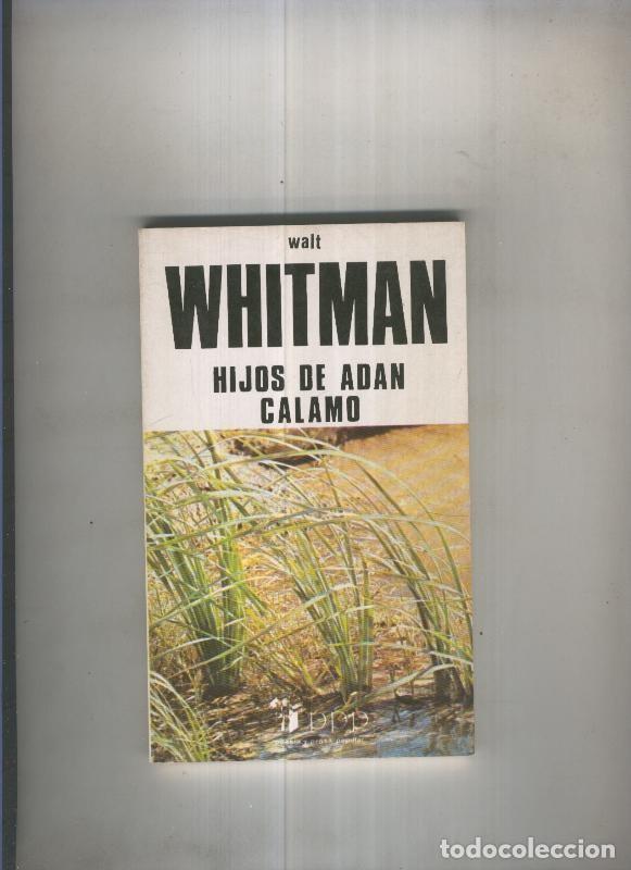 Libros: Hijos de Adan Calamo - Walt Whitman - Foto 1