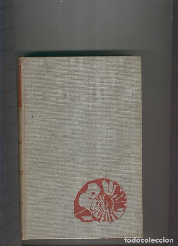 Libros: Antes del diluvio - Herbert Wendt - Foto 1