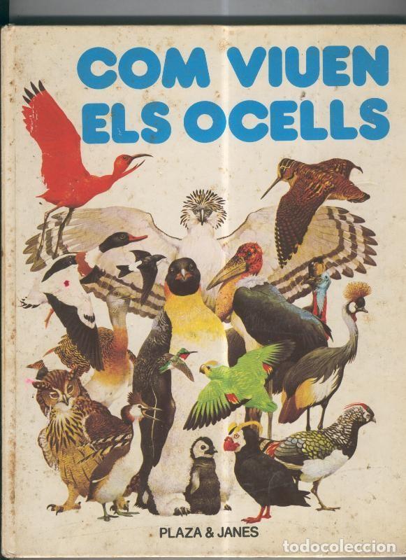 Libros: Com viuen els ocells - Tony Bremne - Foto 1