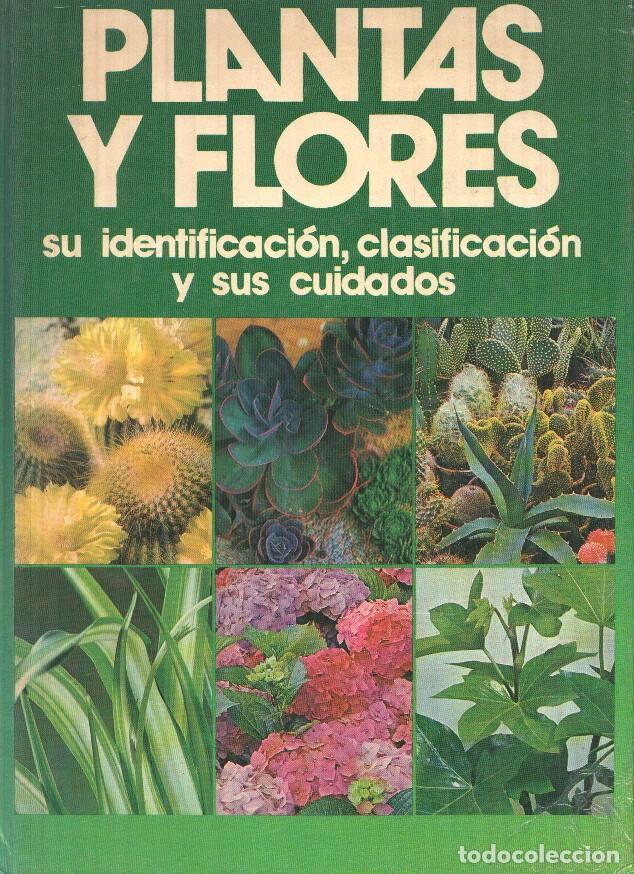 Livros em segunda m&atilde;o: Plantas y flores. Su identificacion, clasificacion y sus cuidados - varios
