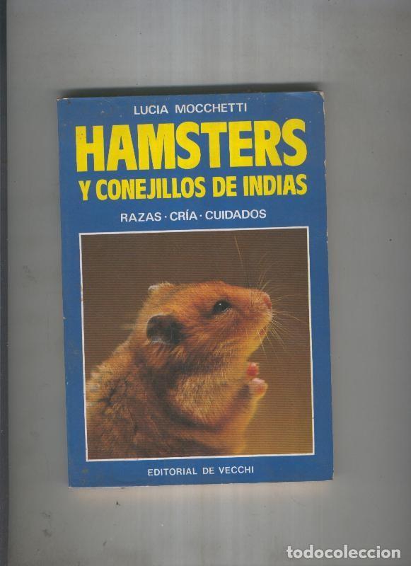 Livros em segunda m&atilde;o: Hamsters y conejillos de indias - Lucia Mocchetti
