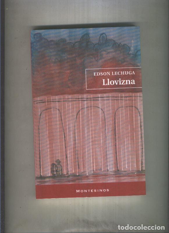 Libros: Llovizna - Edson Lechuga - Foto 1