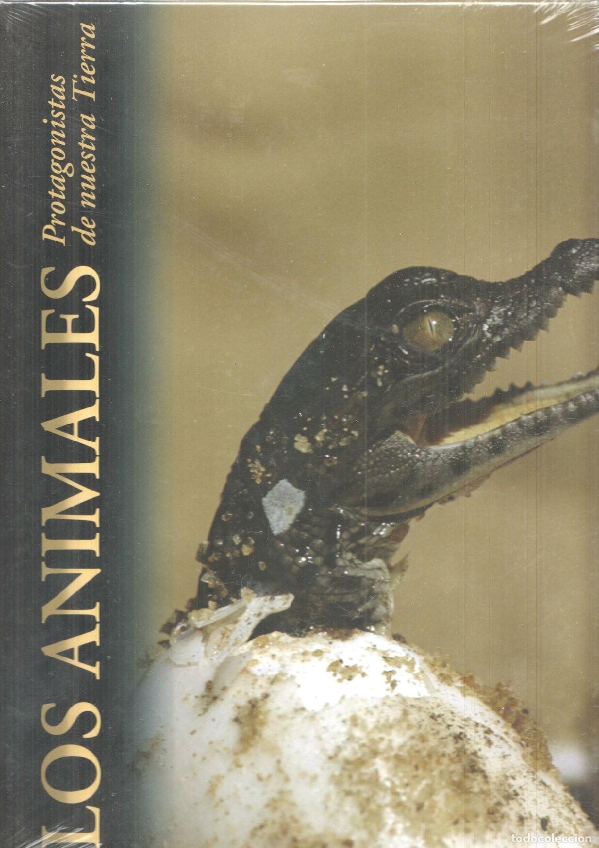 Libri di seconda mano: Los animales Protagonistas de nuestra Tierra: Espacios humedos - Varios