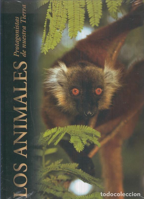 Libros: Los animales protagonistas de nuestra tierra: Mares e islas - Varios - Foto 1