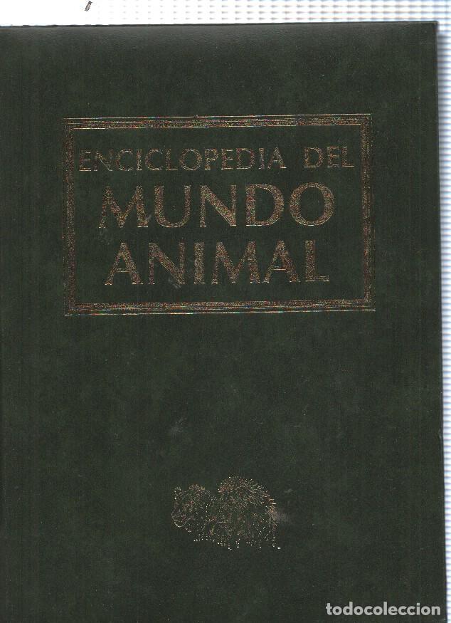 Livres: Enciclopedia del mundo animal tomo 07: Aves Volumen I de avestruz a torillos - varios