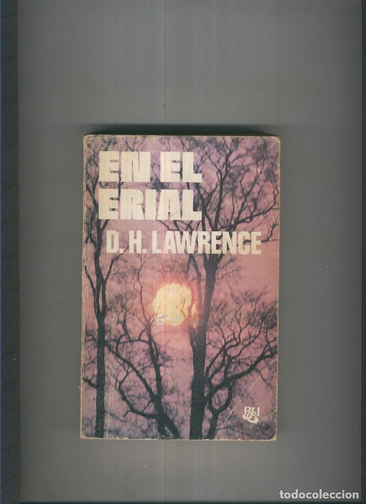Libros: En el erial - D.H. Lawrence - Foto 1