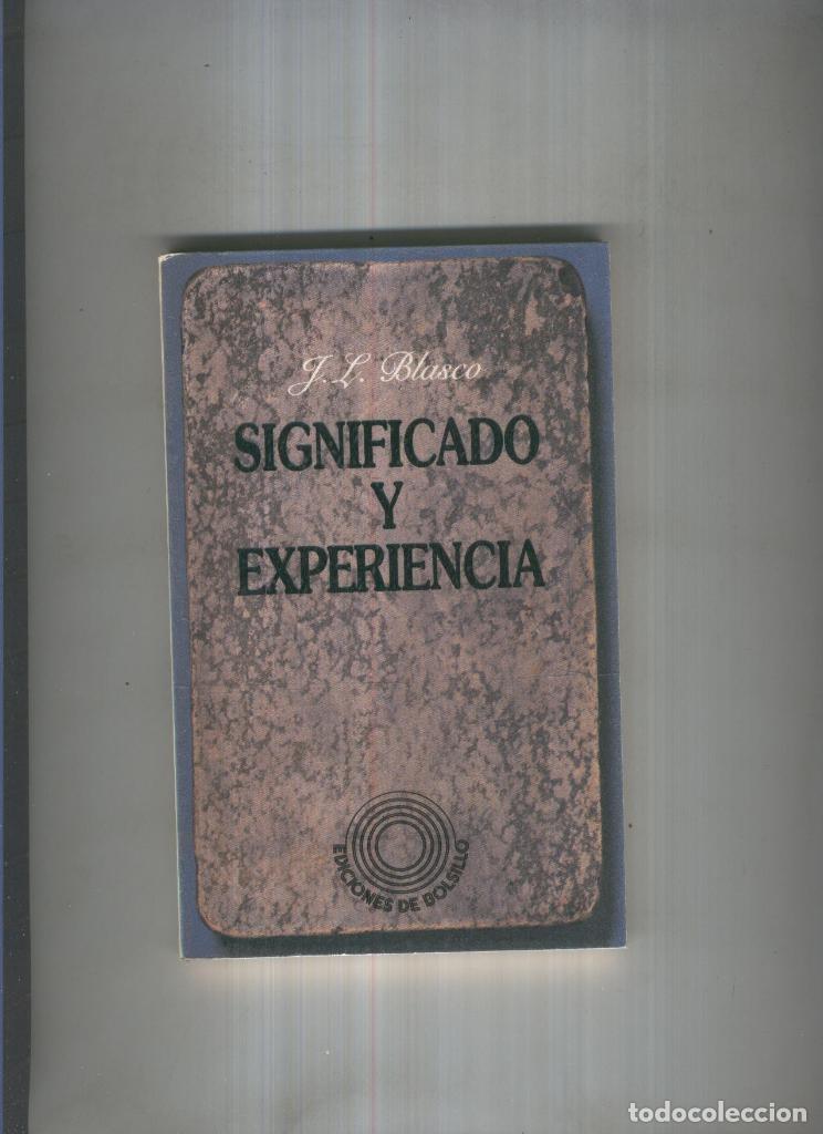 Libri di seconda mano: Significado y experiencia - J.L. Blasco