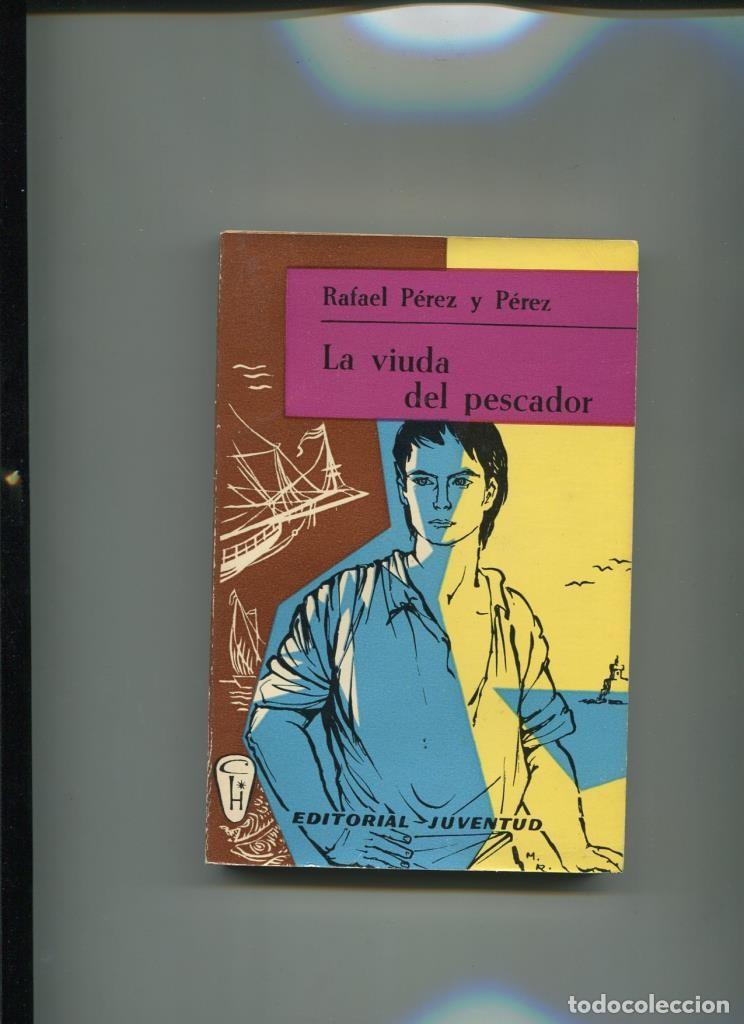 Libros: Hogar: La viuda del pescador - Rafael Perez y Perez - Foto 1
