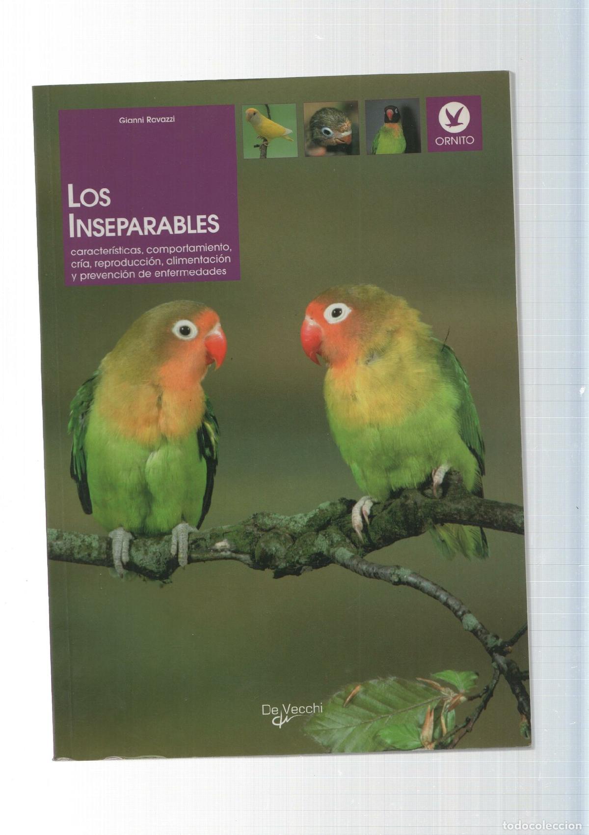 Livros em segunda m&atilde;o: Los inseparables - Gianni Ravacci