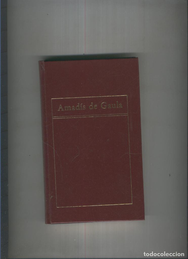 Libros: Amadis de Gaula - varios - Foto 1