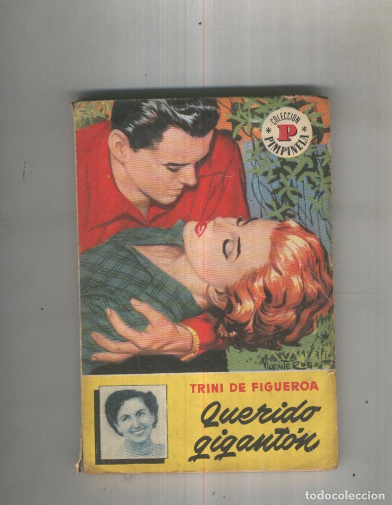 Libros: Querido Giganton - Trini de Figueroa - Foto 1