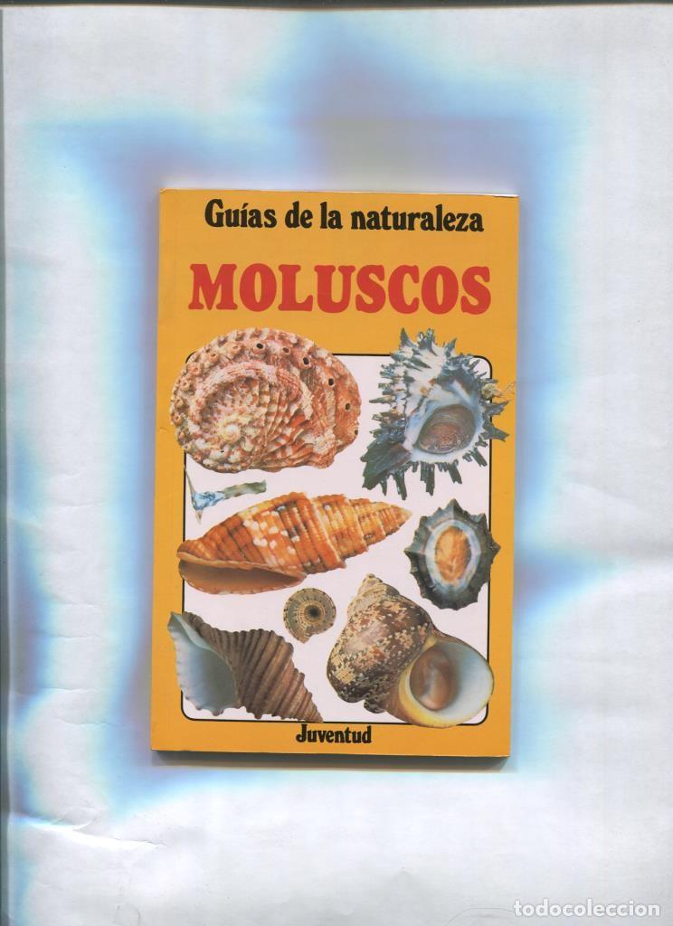 Libri di seconda mano: Guias de la naturaleza: Moluscos - Graham D. Saunders