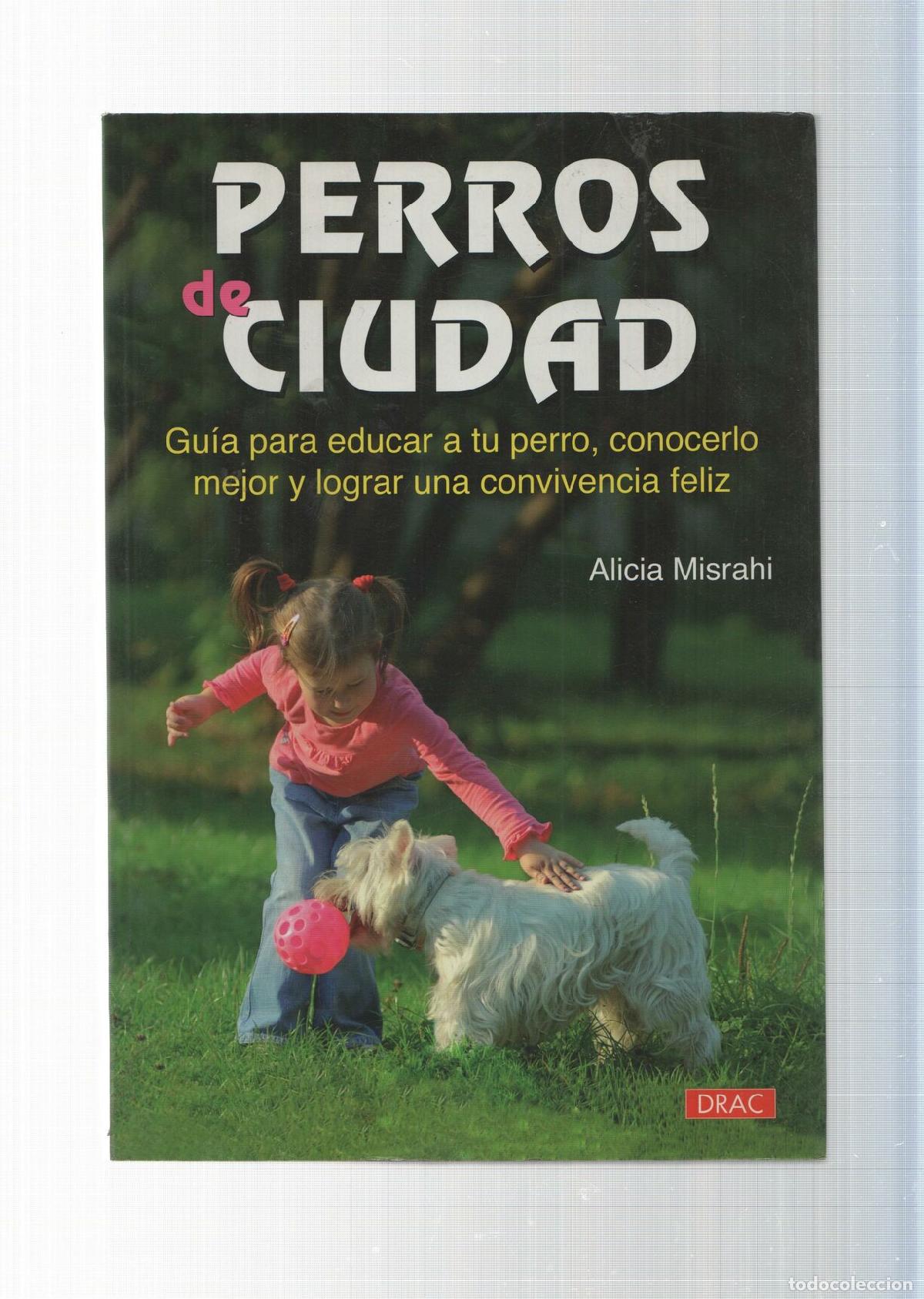Libros: Perros de ciudad: guia para educar a tu perrro - Alicia Misrahi