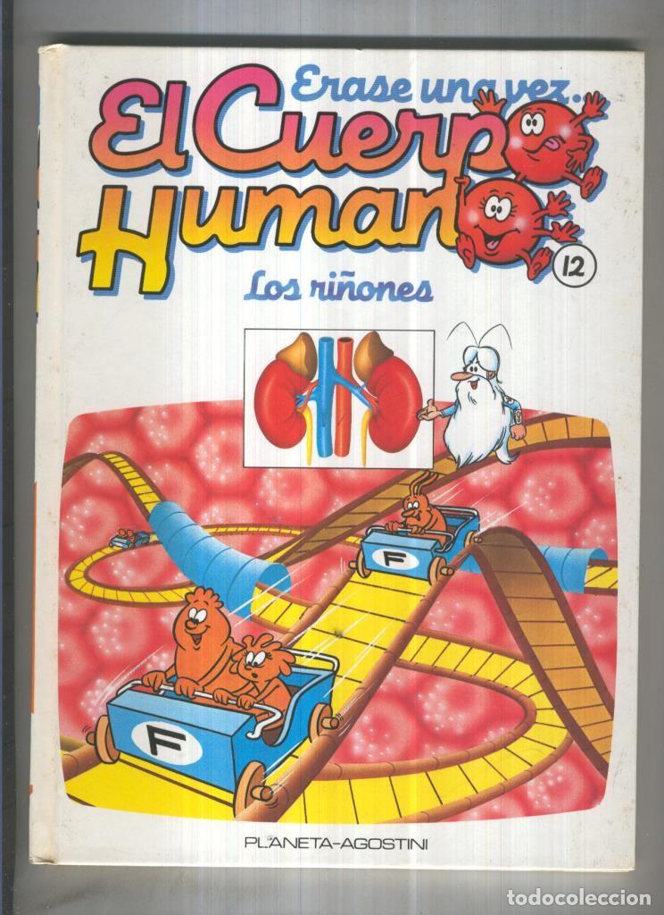 Libri di seconda mano: Erase una vez el cuerpo humano volumen 12: Los ri&ntilde;ones - Varios