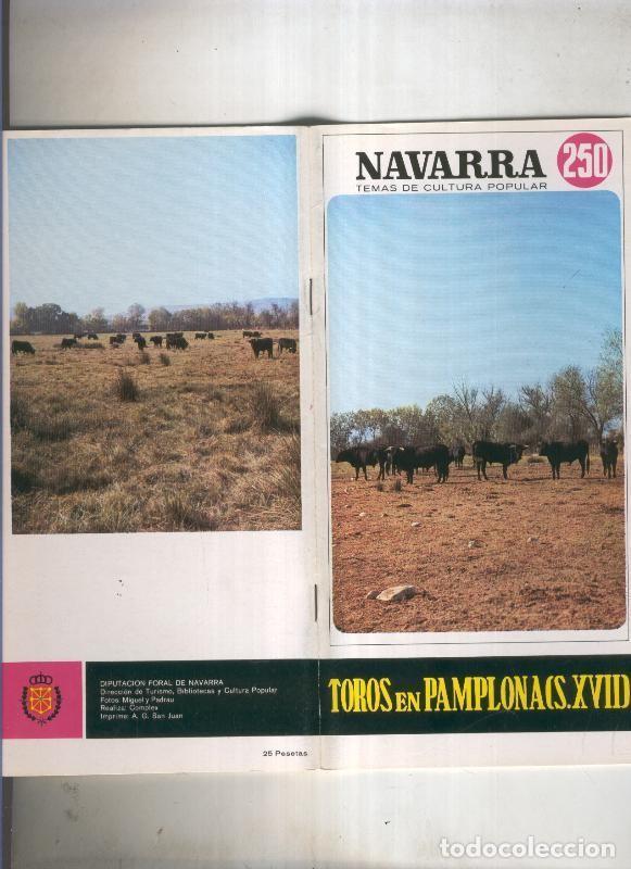 Libri di seconda mano: Navarra temas de cultura popular numero 250: Toros en Pamplona, siglo XVII - Luis del Campo