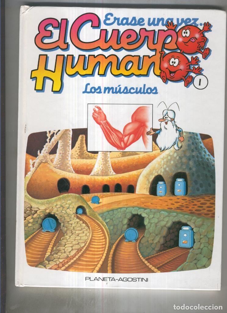 B&uuml;cher: Erase una vez el Cuerpo Humano 01: Los musculos - varios