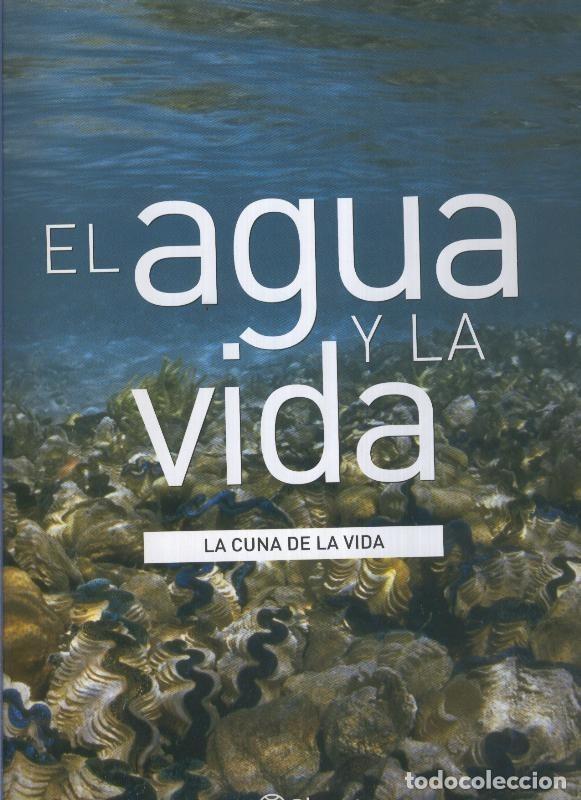 Libros: El agua y la vida: La cuna de la vida - Varios - Foto 1