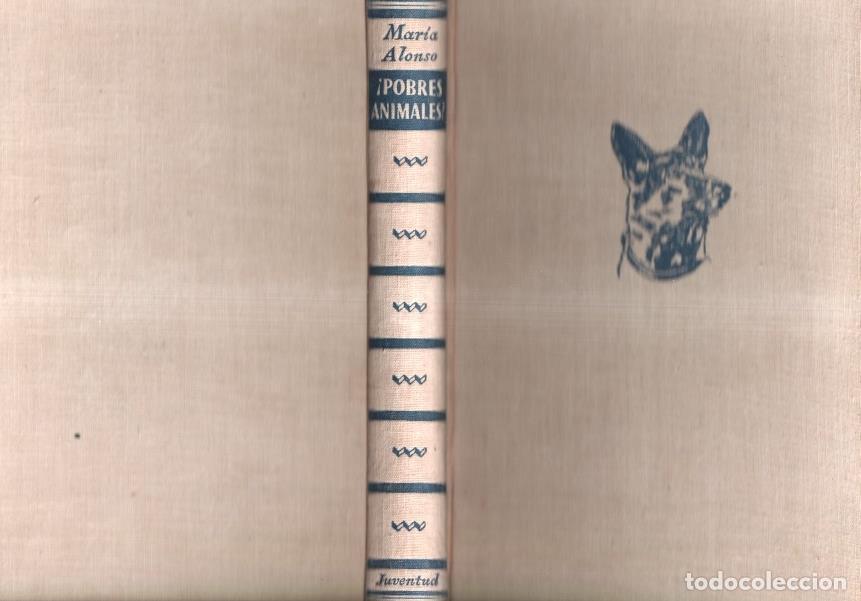 Libros: Pobres animales: historia de un refugio de animales abandonados - Maria Alonso