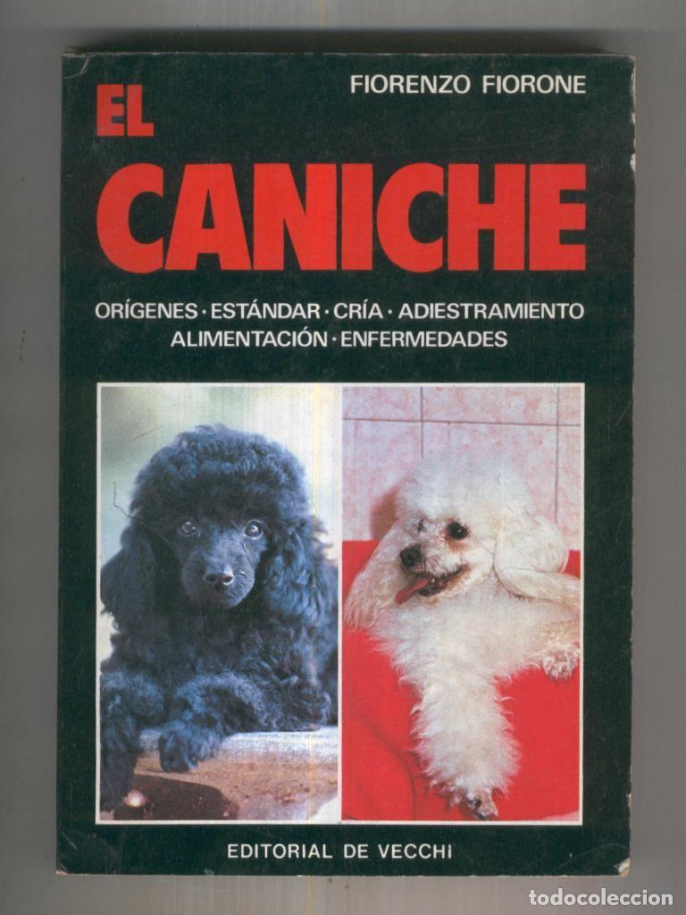 Libros: El caniche: origenes, estandar, cria, adistramiento, alimentacion, enfermedades - Fiorenzo Fiorone