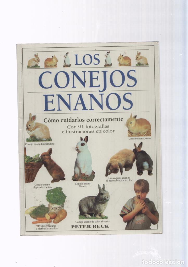 Libros: Los conejos enanos - Peter Beck - Foto 1